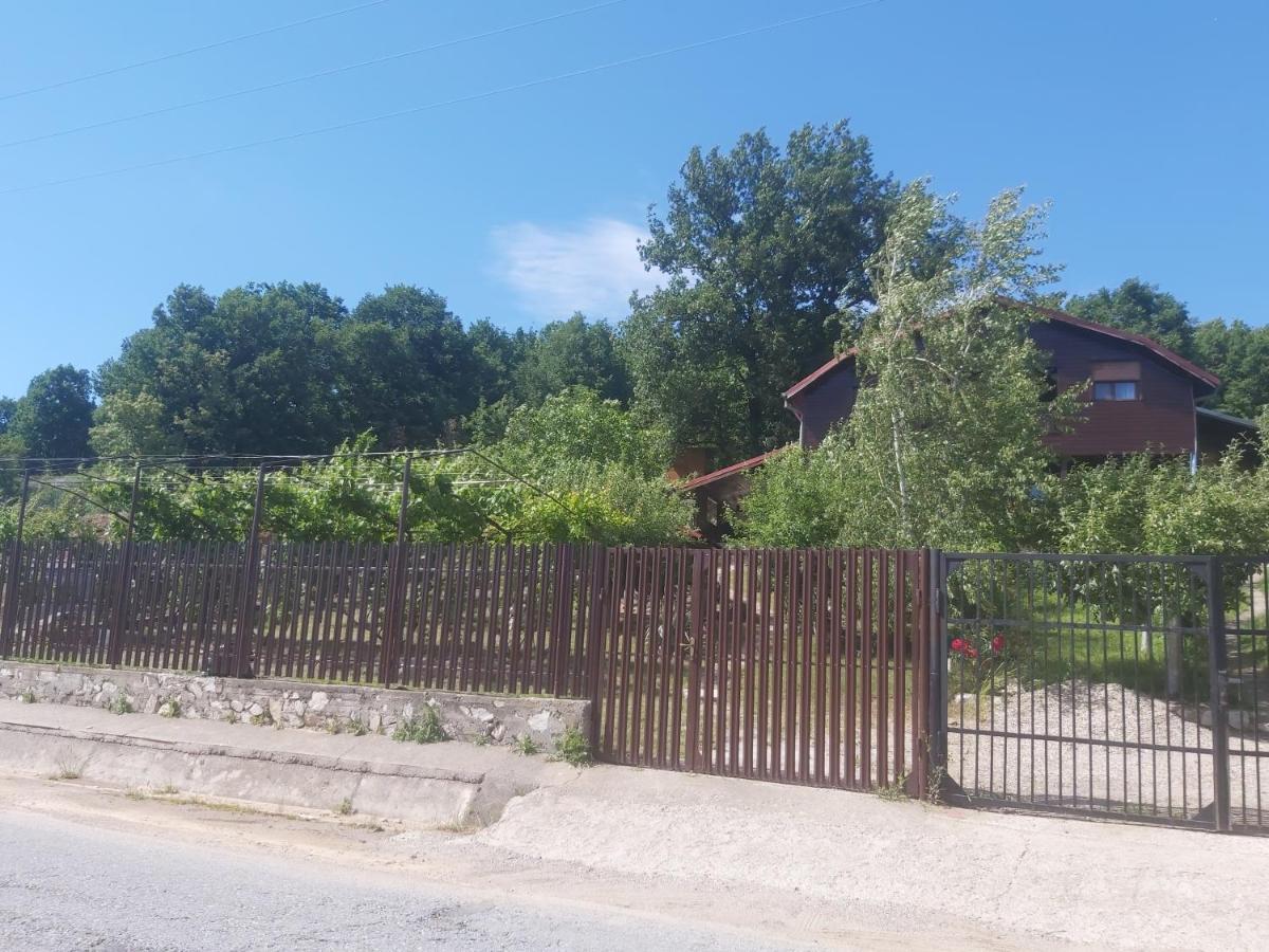 Casa Melania Vila Ieşelniţa Exterior foto