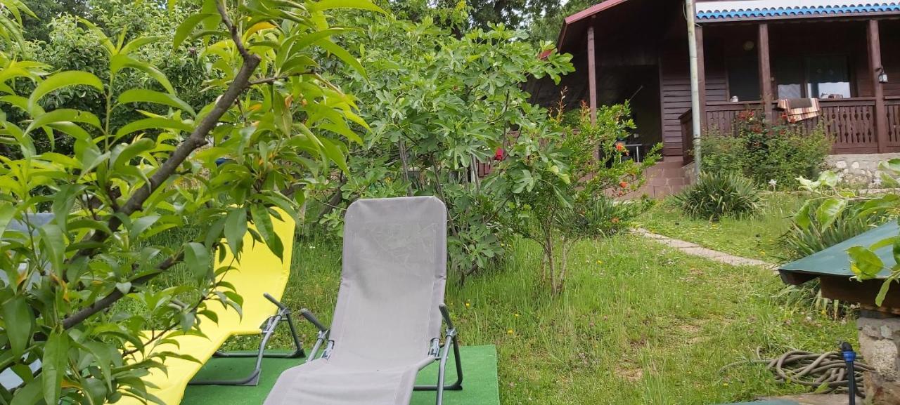 Casa Melania Vila Ieşelniţa Exterior foto